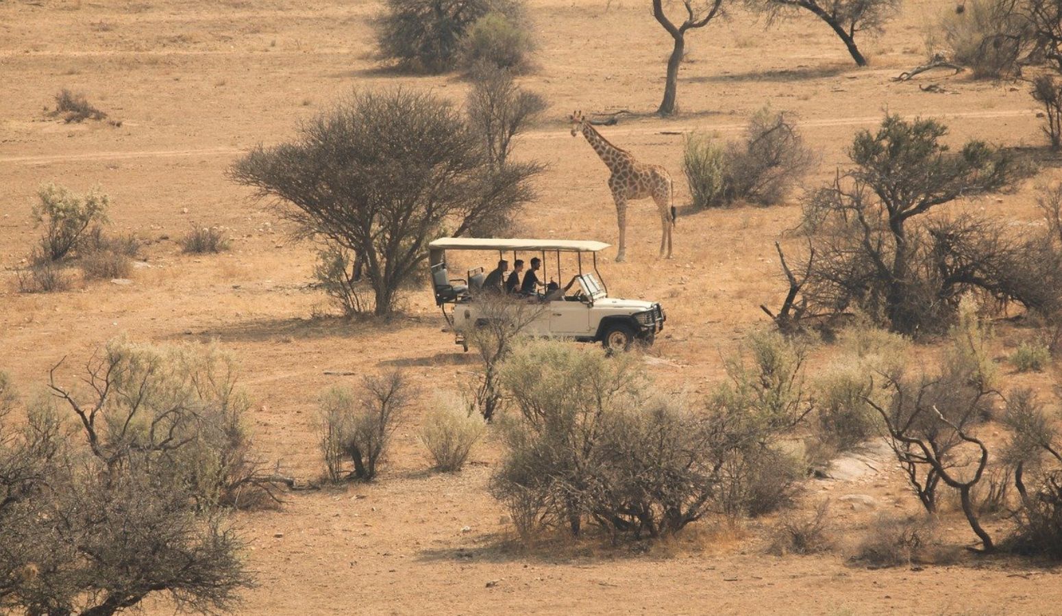 safari senegal africa 2025